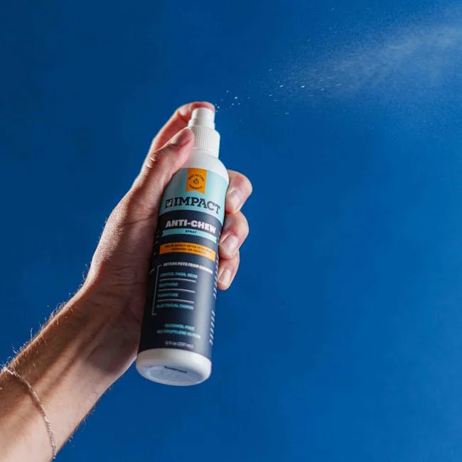 Image describing Best Free Background Remover 2026 Fast & Simple?